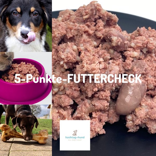 #Kollage #Hund #Hundefutter #Futtercheck #hashtaghund.de